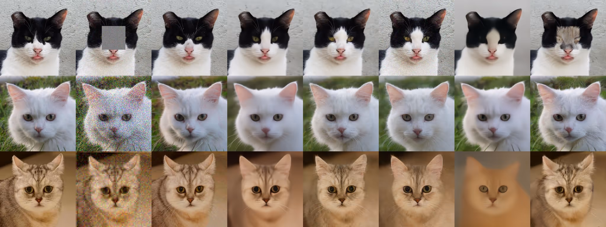 AFHQ-Cat restoration comparisons across three degradation types