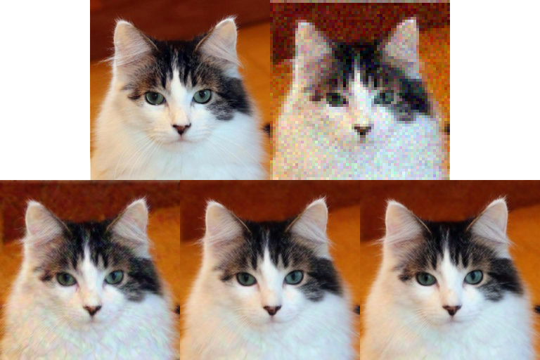 Clean and degraded cat images followed by SP3 super-resolution outputs after one, three, and five steps