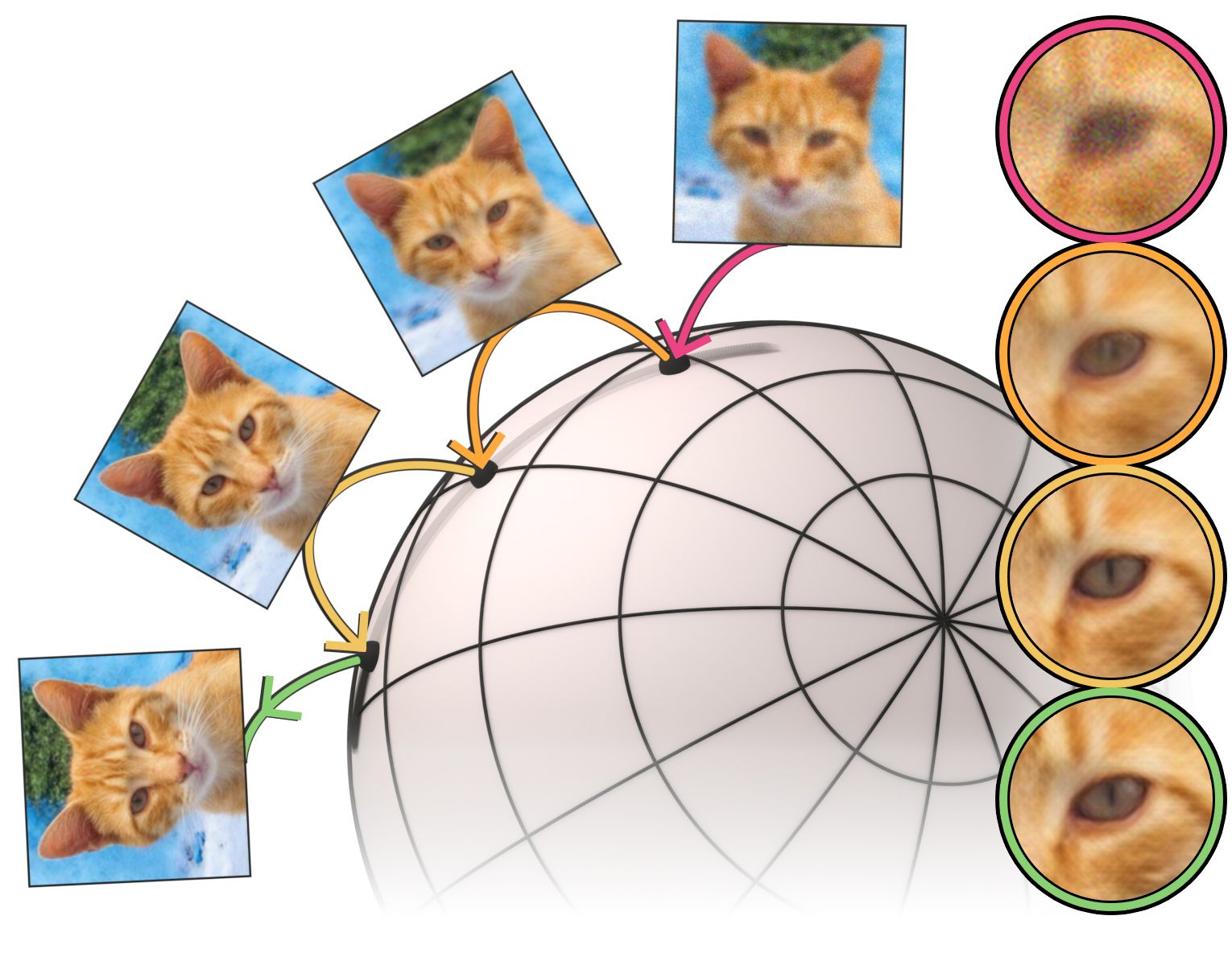 SP3 projects a degraded cat image through a spherical latent manifold, refining details over successive iterations